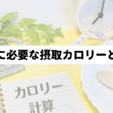 電卓やメジャー、ノートを背景に「一日に必要な摂取カロリーとは？」の表題