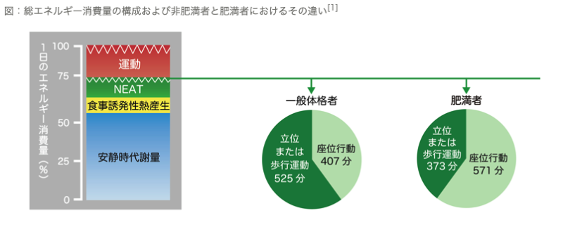 総エネルギー消費量の構成および非肥満者と肥満者におけるその違い：e-ヘルスネット