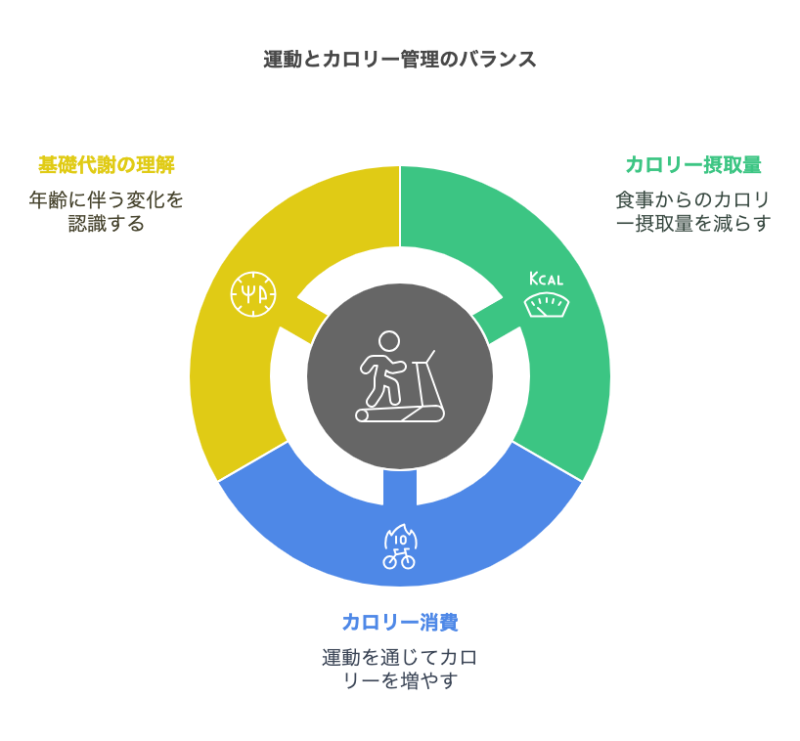 運動とカロリー管理のバランス 円グラフ